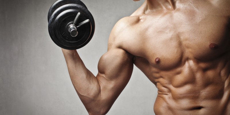 Gym Muscles